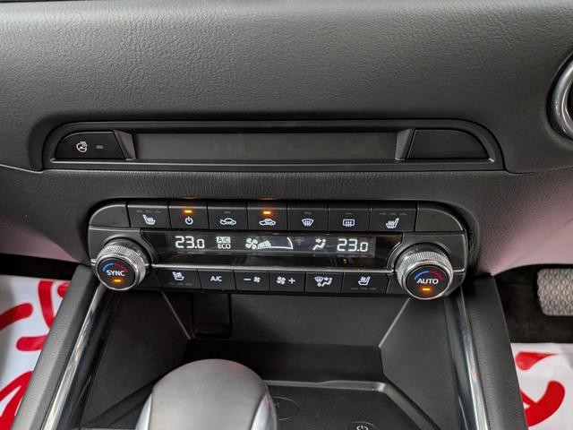 0903185A30260820W00209.jpg