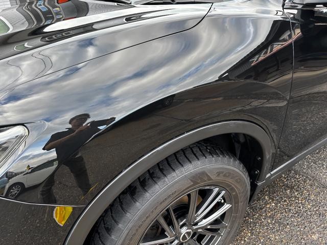 1230564A30260912W00111.jpg