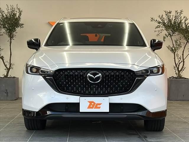 26bbbe971eb94cb886942d1acf43af61.jpg
