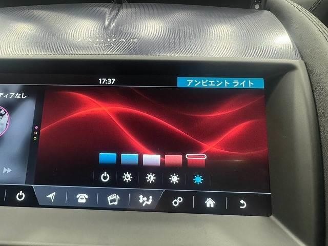 0206771A20261013D00308.jpg