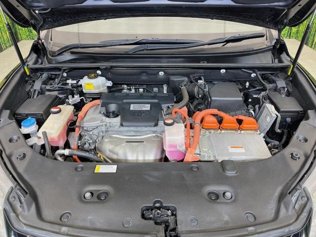 26622705_carP_l_16.jpg