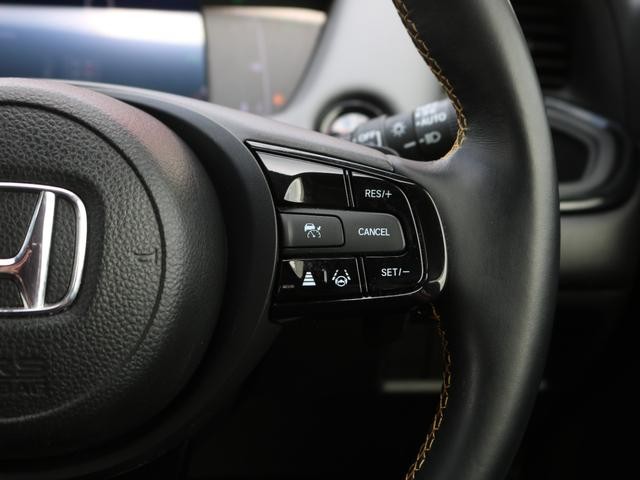 0509625A30260917W00112.jpg
