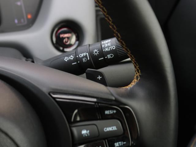 0509625A30260917W00114.jpg