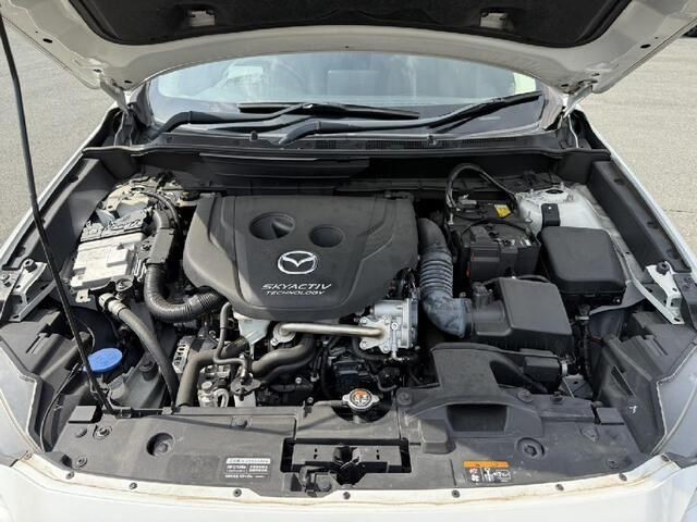 27b18e03d6d054a097cae35d1d2cd82e.jpg
