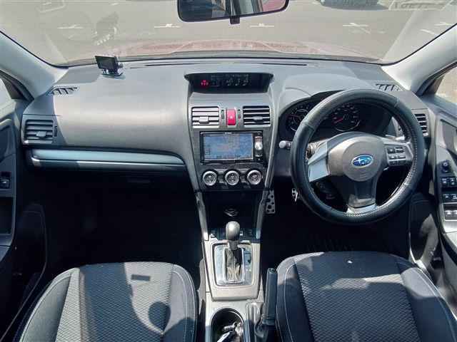 06.jpg