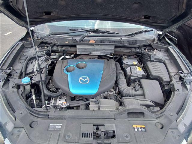 08.jpg