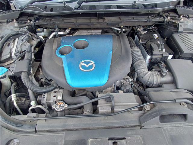 08.jpg