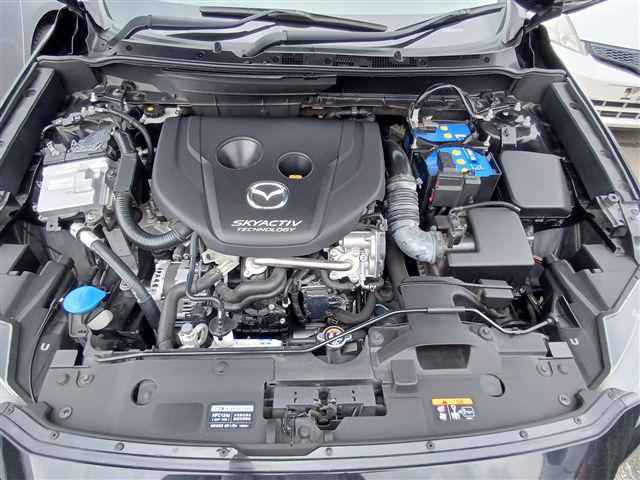 08.jpg