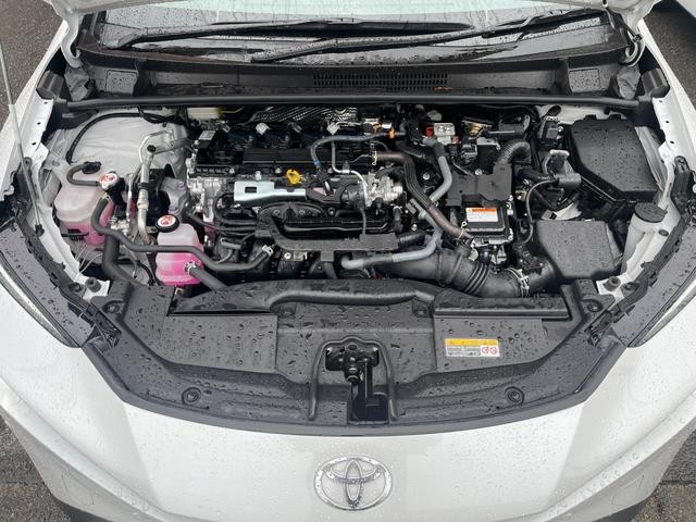 0510855A30260830W00117.jpg