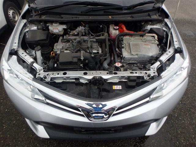 08.jpg