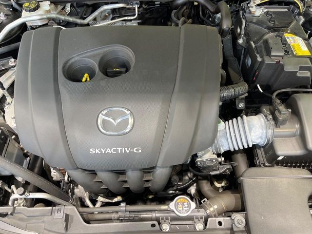 4c749bef246dd0b8e31fa9a11419c450.jpg