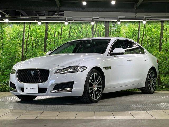 22395d960e70941296a4e29e86ae2aca.jpg