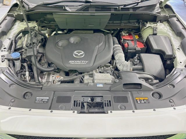 7e02234313197f51fd3e72f53839982b.jpg