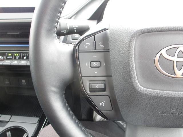 0910064A30260821W00113.jpg