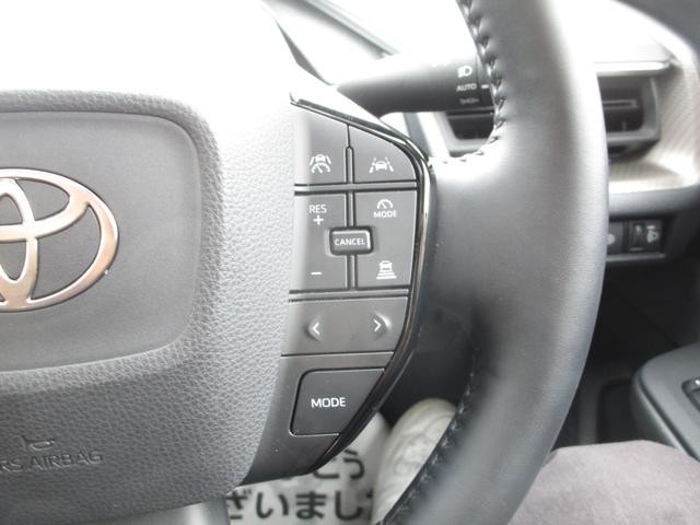 0910064A30260821W00114.jpg