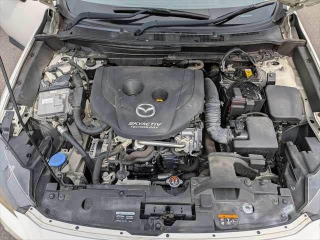 91af30ab12fdaaa072fb3a37c25fb8c2.jpg