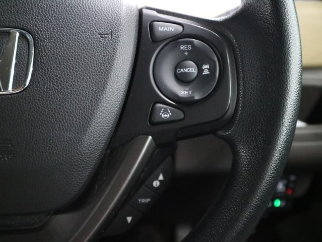 0500075A20260730K01318.jpg