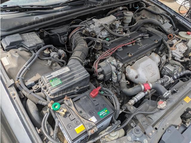 9572622A30260806W00217.jpg