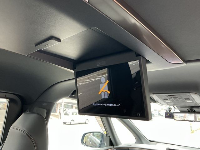 49f7fe8d155bb9571a81d419b3bbd481.jpg