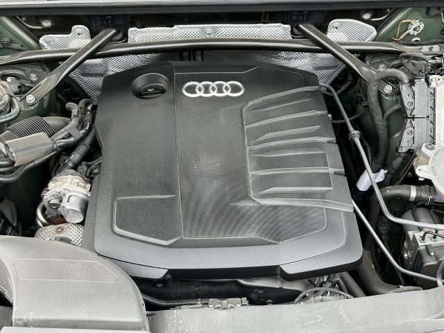 f56099bf3e2bb86ab6fd38af4ec7429b.jpg