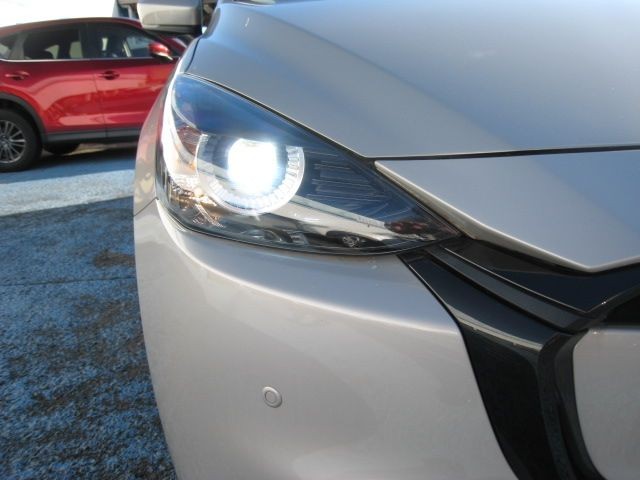f118afd2ce0805a2a18b8a2ad3298630.jpg