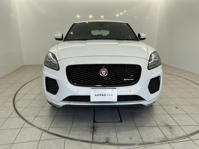 ff135e39bbca5ab355096ff669d24025.jpg