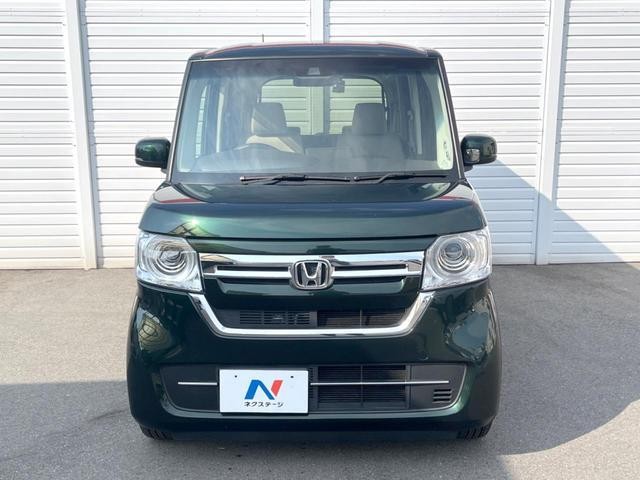 26710591_carP_l_9.jpg