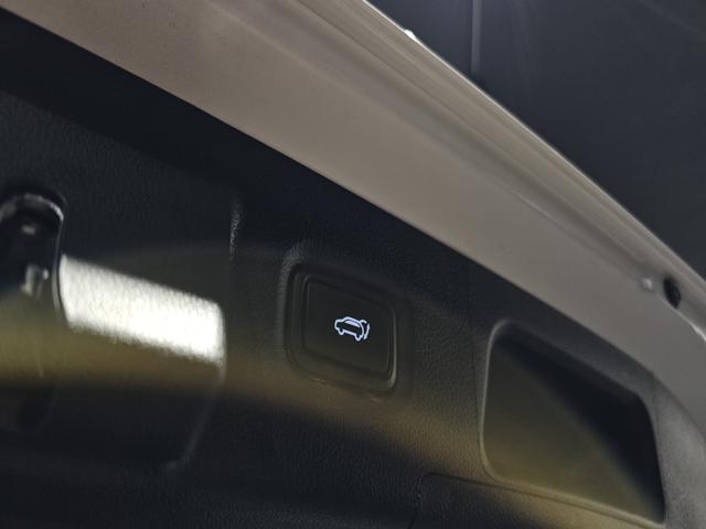 ab73fc530d043ca6f2bca435ccdd356a.jpeg