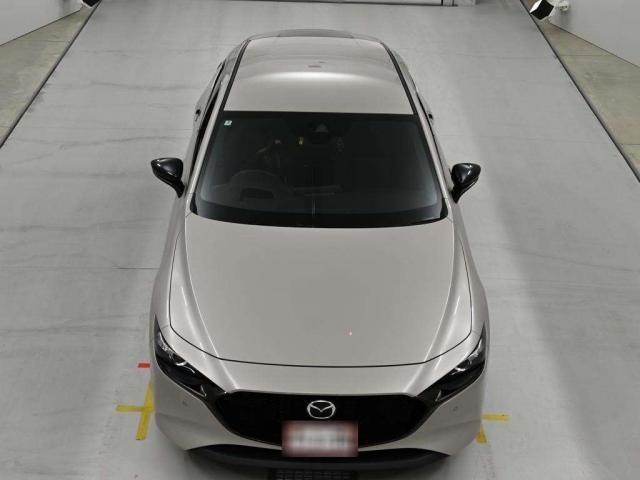 24711178_carP_l_7.jpg