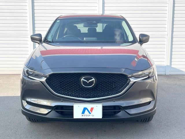 26710596_carP_l_9.jpg