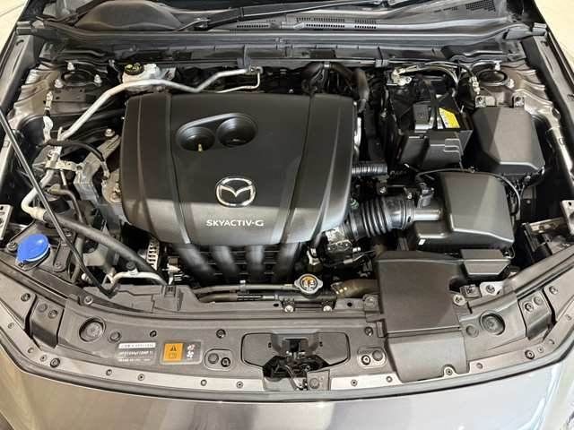 dae92627929f83ab799c0b14fc35e611.jpg