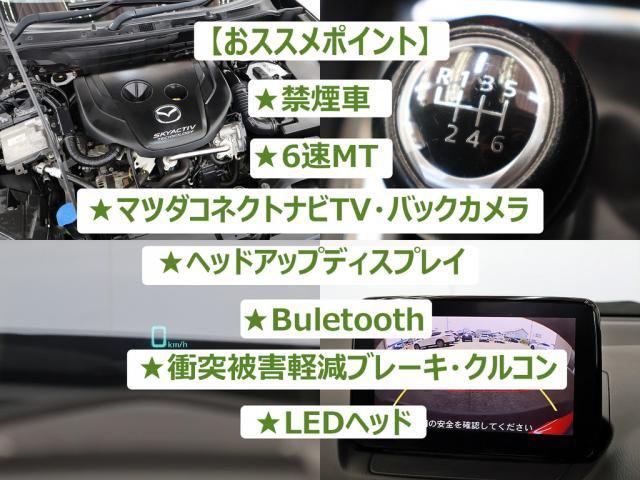 63048feddcca6bbb62e709c29d79a9dc.jpg