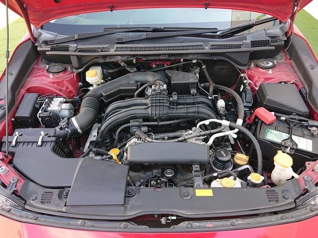 26994067_carP_l_2.jpg