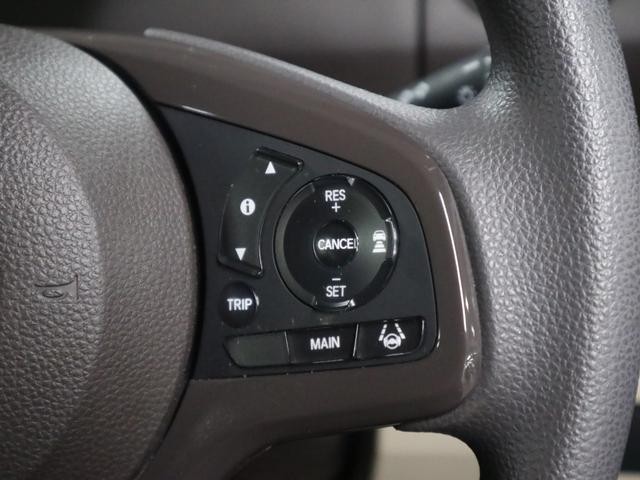 0500075A20260929K01219.jpg