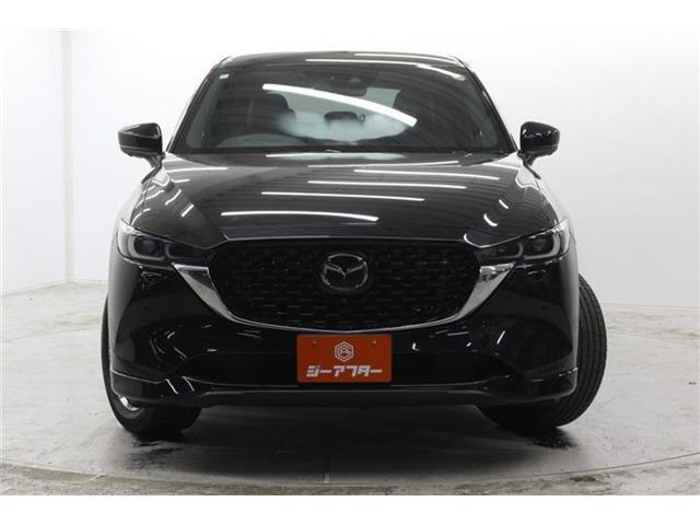 d2305aadbed9ef412a14286756aa6402.jpg