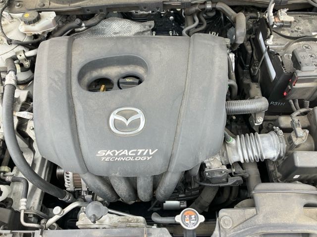 aff73f460c6e6776c58be72590a6166c.jpg
