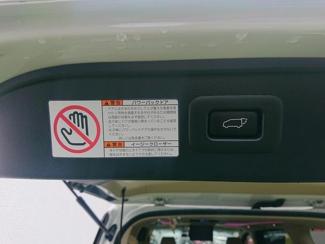 26944942_carP_l_20.jpg