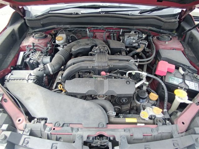 08.jpg