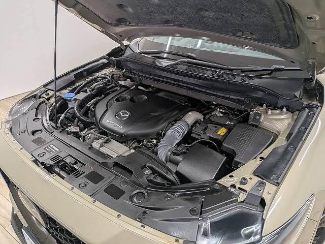 0804910A20260827D00713.jpg