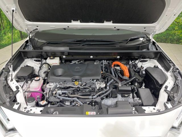 133811fff76139368aca1e3473cc1037.jpg