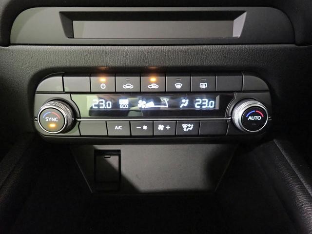 0201999A30260606W00116.jpg