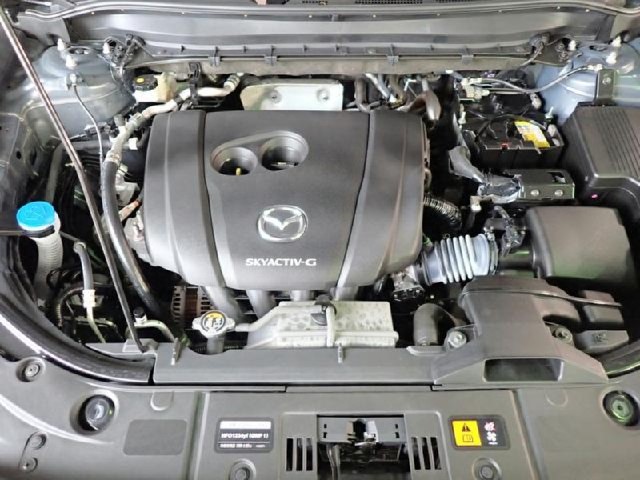 262afbc755e22613f13730128f5d31fa.jpeg