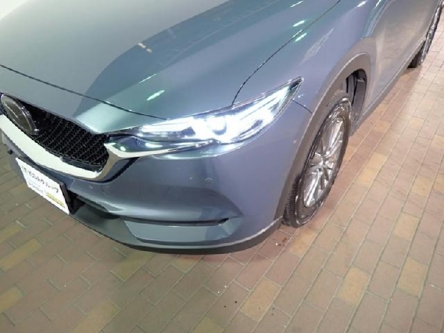 5fe494718e20d049de1a295ea6719167.jpeg