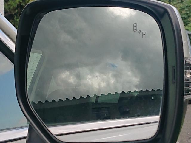 27114168_carP_l_17.jpg