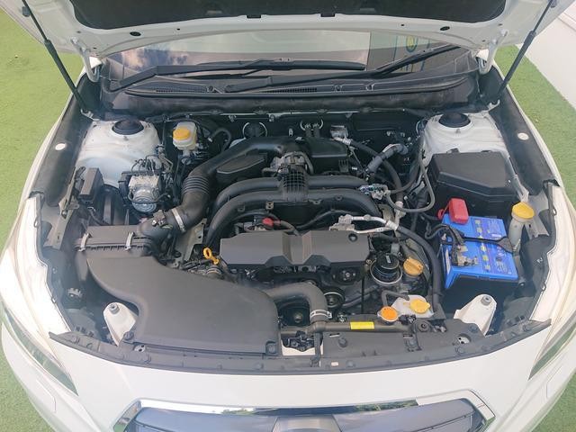 27114168_carP_l_2.jpg