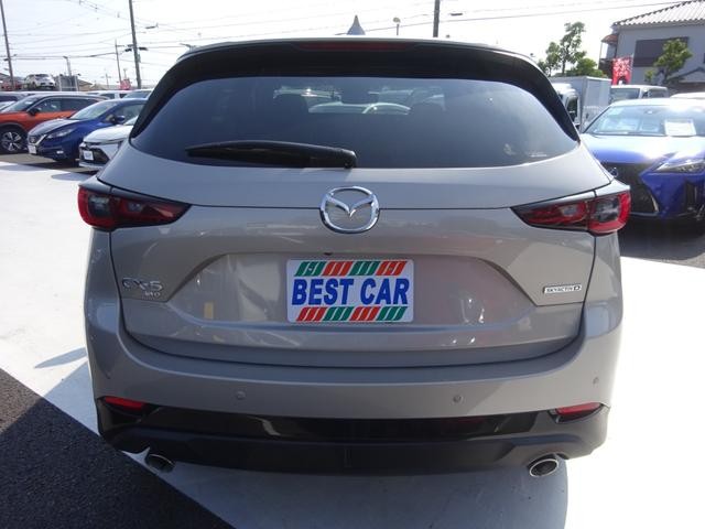 08247ff2145efae80b2e059b38408bd9.jpg