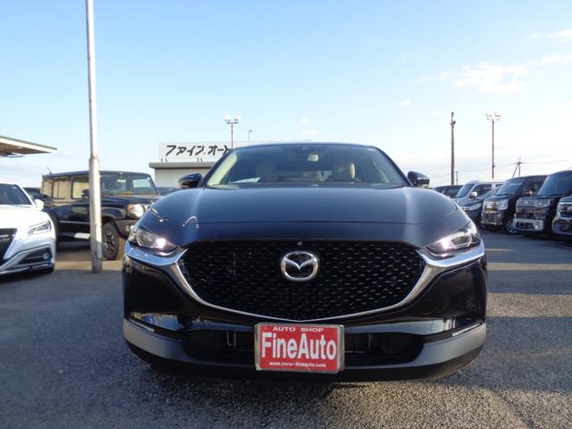 0701567A30260806W00101.jpg