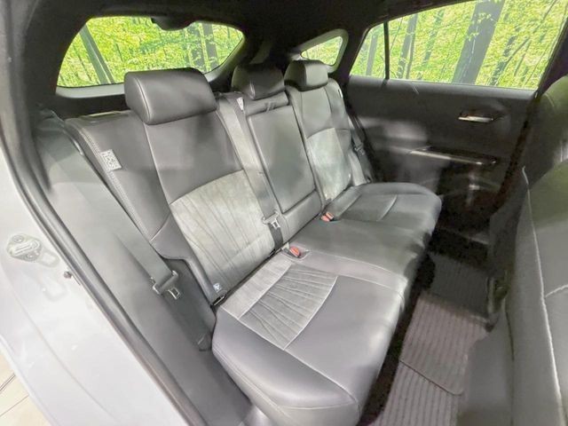 c900bfc5235ce1a6bd2f694abbe4a85b.jpg
