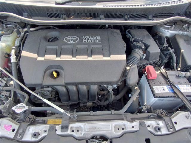 08.jpg