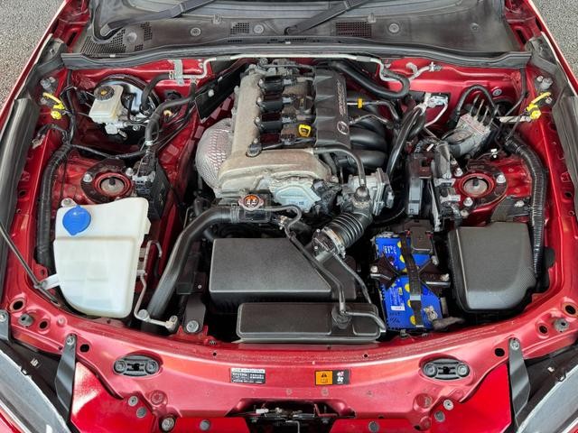 0560342A30260824W00202.jpg